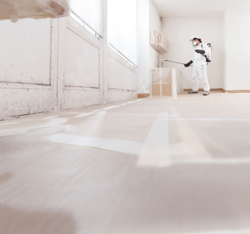 Mold and Contaminant Removal