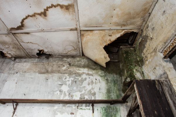 Water Damage Service in Issaquah