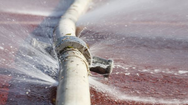 Burst Pipe Cleanup in Issaquah