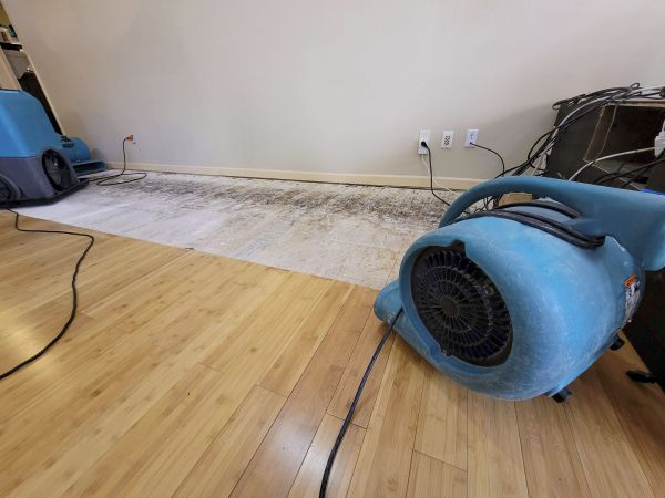 Water Damage Mitigation in Issaquah