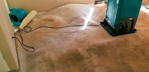 Carpet Water Extraction in Issaquah