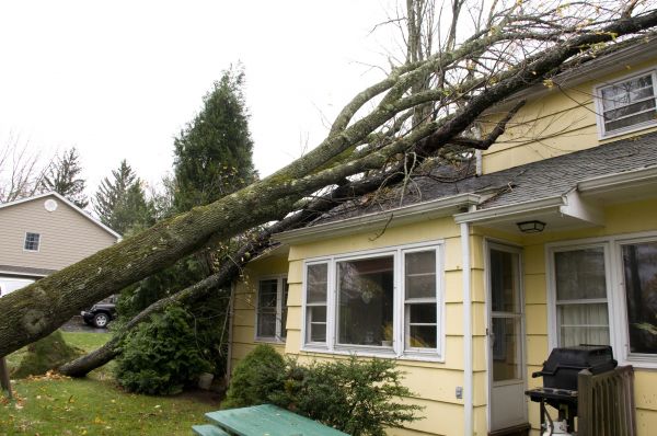 Hurricane Damage Repair in Issaquah